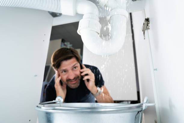 Best Affordable Plumber Near Me  in Palmyra, MO