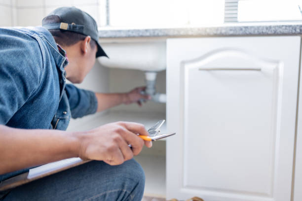 Best Water Leak Repair  in Palmyra, MO
